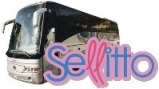 Autolinee Sellitto
