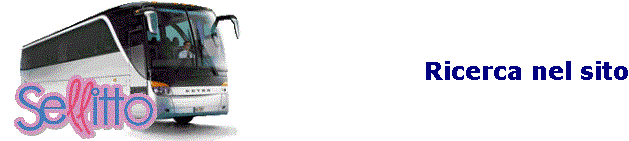 Ricerca nel sito